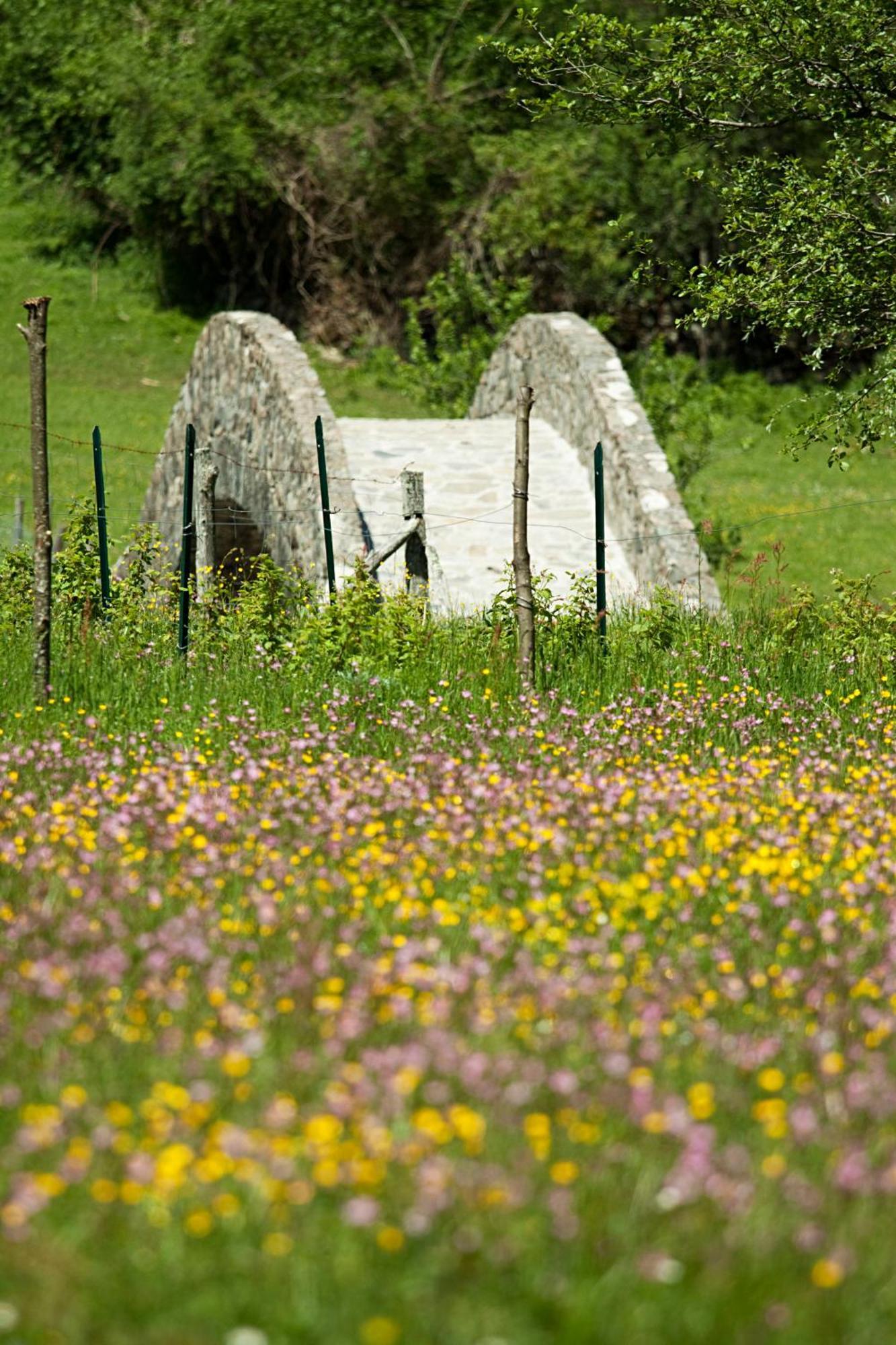 Mulino Marghen - Restored Watermill - Accomodation And Retreat Center Zeri Exterior photo